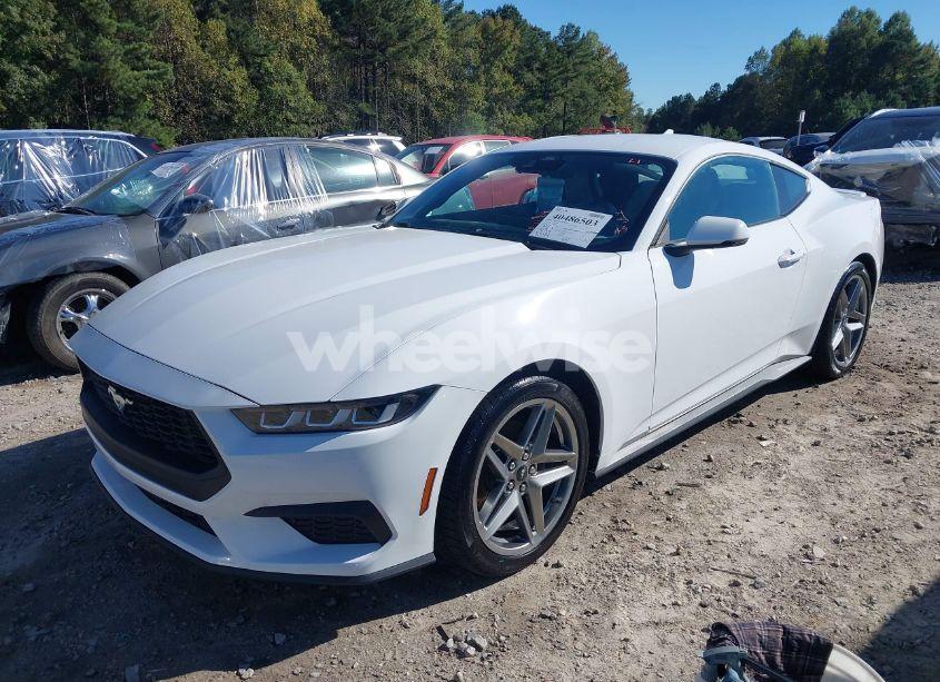 Photo 2 of 2024 Ford Mustang ECOBOOST PREMIUM (VIN 1FA6P8TH6R5117609)