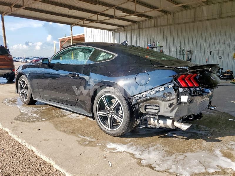 Photo 9 of 2024 FORD MUSTANG (VIN 1FA6P8TH6R5141327)