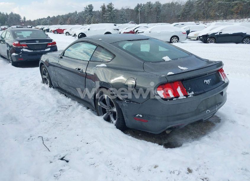 Photo 3 of 2015 Ford Mustang ECOBOOST (VIN 1FA6P8TH7F5334842)