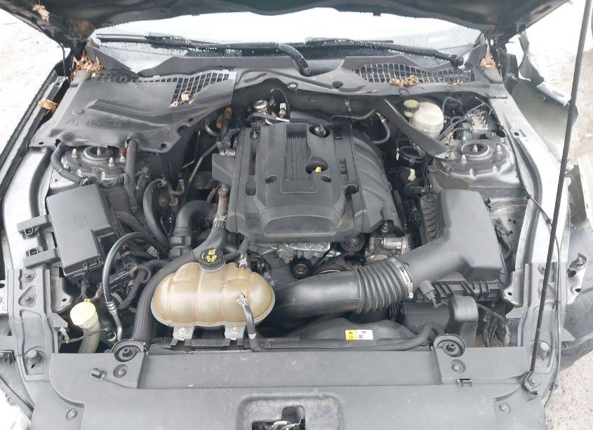 Photo 10 of 2015 Ford Mustang ECOBOOST (VIN 1FA6P8TH7F5434598)