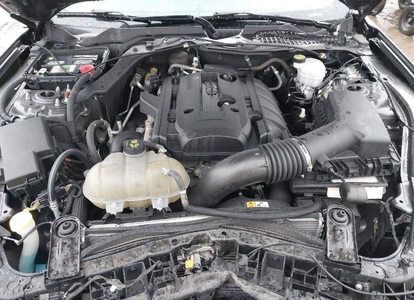 Photo 10 of 2016 Ford Mustang ECOBOOST (VIN 1FA6P8TH7G5201760)