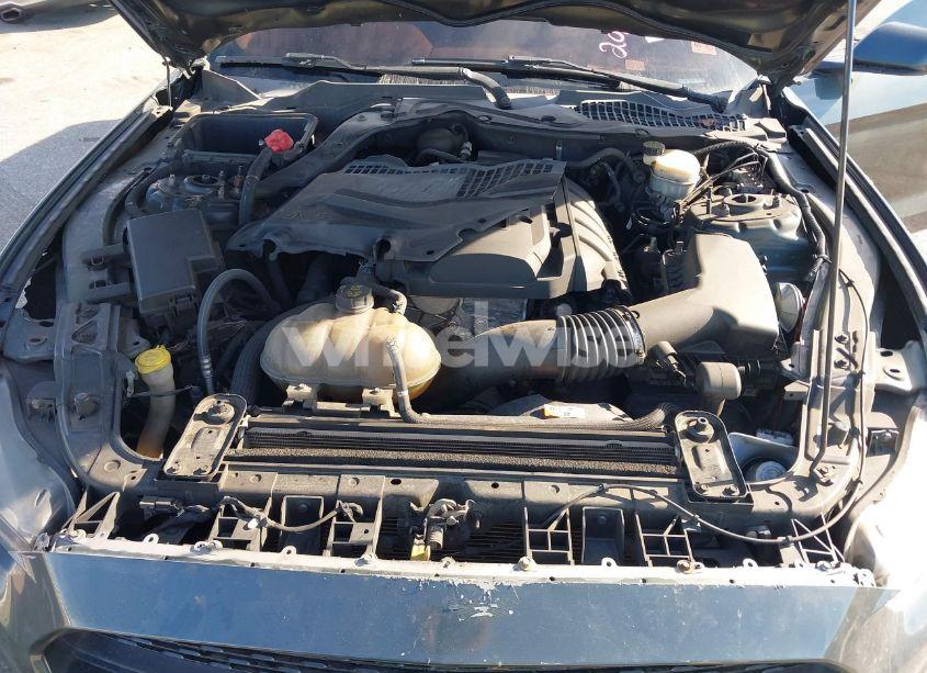 Photo 10 of 2016 Ford Mustang ECOBOOST (VIN 1FA6P8TH7G5228909)