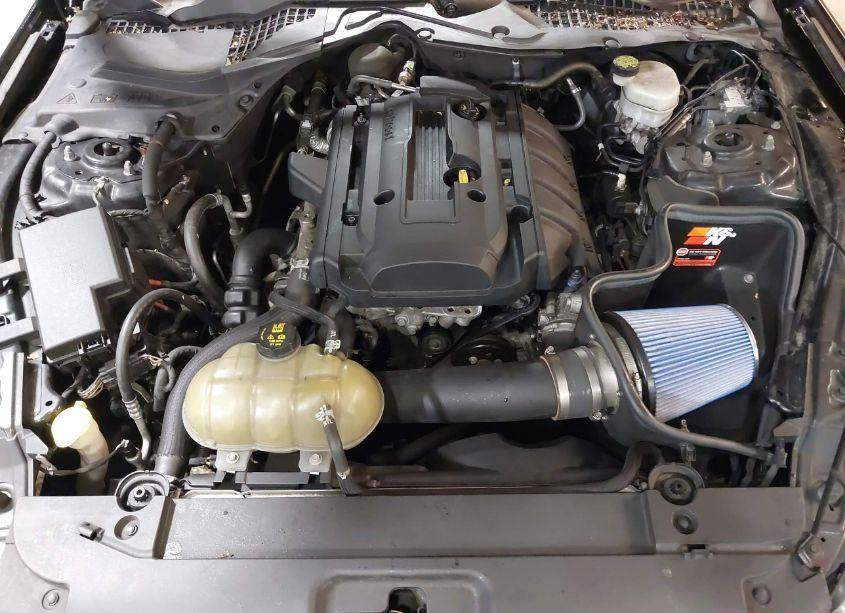 Photo 10 of 2016 Ford Mustang ECOBOOST (VIN 1FA6P8TH7G5277673)