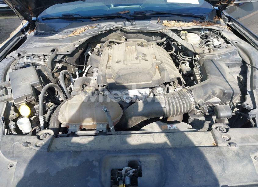 Photo 10 of 2016 Ford Mustang ECOBOOST (VIN 1FA6P8TH7G5301549)