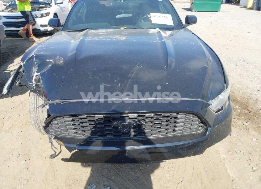 Photo 13 of 2016 Ford Mustang ECOBOOST (VIN 1FA6P8TH7G5301549)