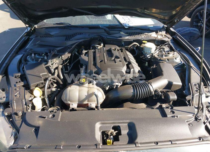 Photo 10 of 2016 Ford Mustang ECOBOOST (VIN 1FA6P8TH7G5303737)