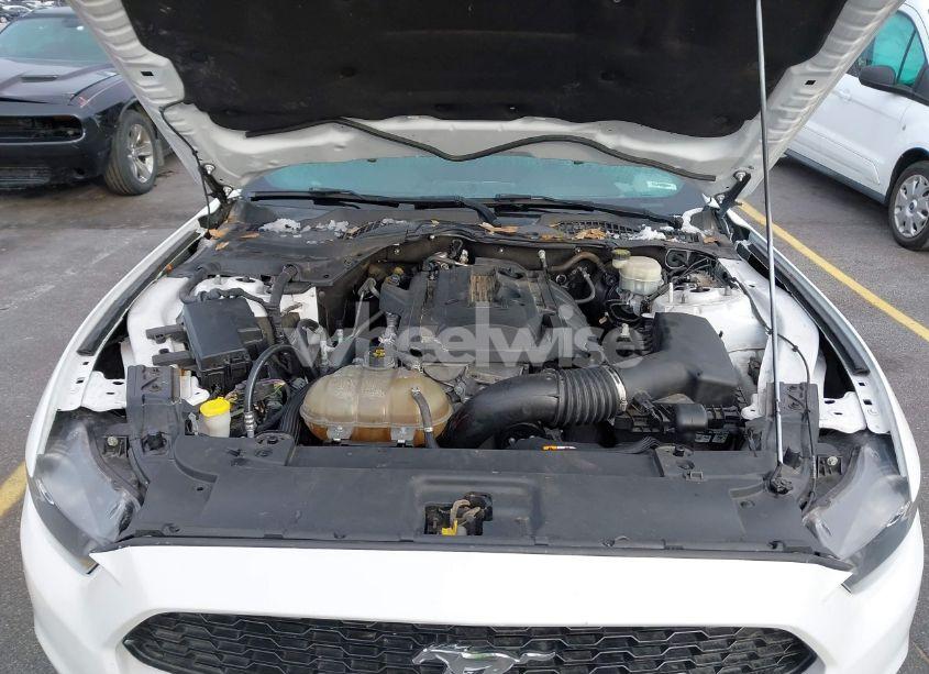 Photo 10 of 2017 Ford Mustang ECOBOOST (VIN 1FA6P8TH7H5305487)