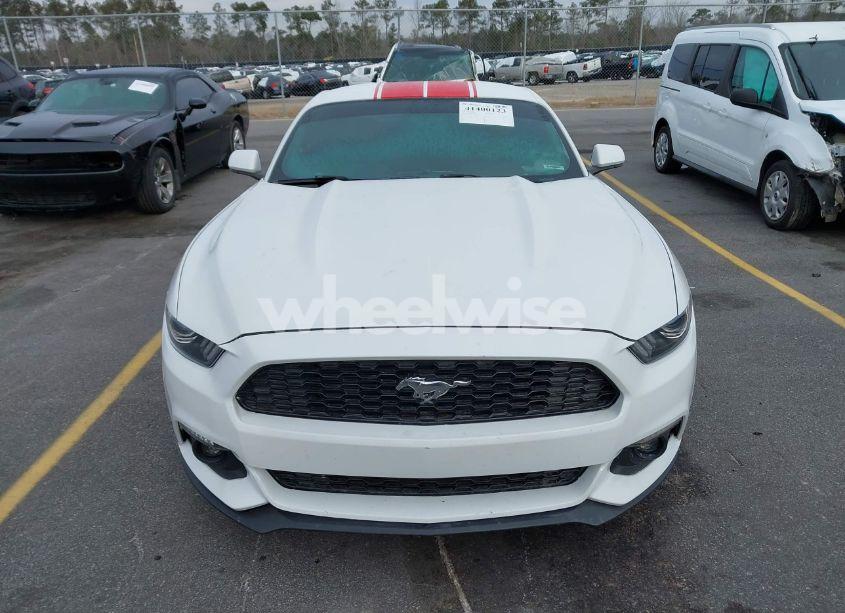 Photo 12 of 2017 Ford Mustang ECOBOOST (VIN 1FA6P8TH7H5305487)