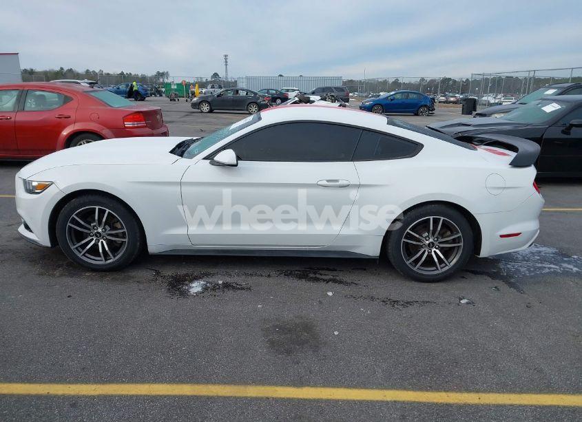 Photo 14 of 2017 Ford Mustang ECOBOOST (VIN 1FA6P8TH7H5305487)