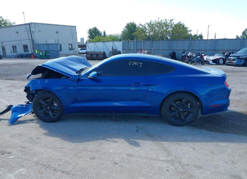Photo 14 of 2017 Ford Mustang ECOBOOST (VIN 1FA6P8TH7H5329319)