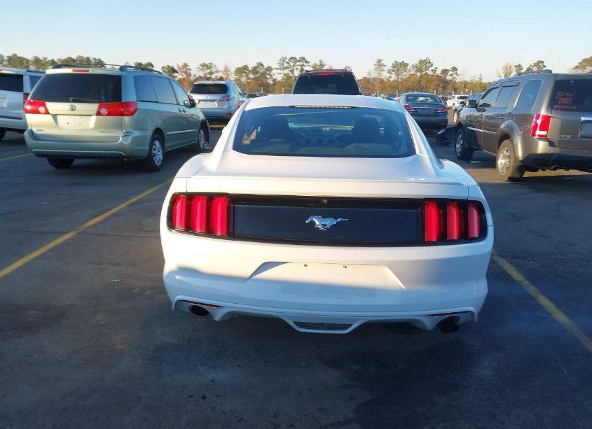 Photo 16 of 2017 Ford Mustang ECOBOOST (VIN 1FA6P8TH7H5332334)