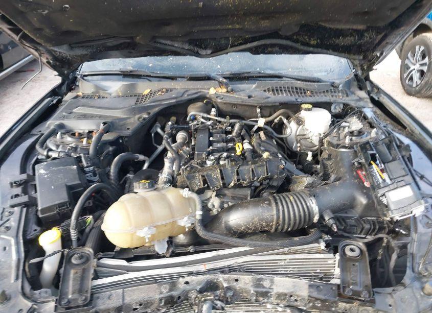 Photo 10 of 2019 Ford Mustang ECOBOOST (VIN 1FA6P8TH7K5101960)