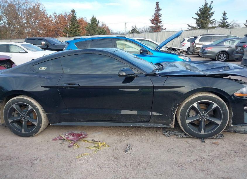 Photo 13 of 2019 Ford Mustang ECOBOOST (VIN 1FA6P8TH7K5101960)