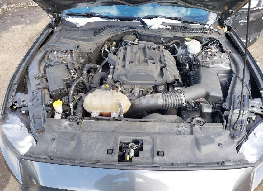 Photo 10 of 2019 Ford Mustang ECOBOOST (VIN 1FA6P8TH7K5117365)