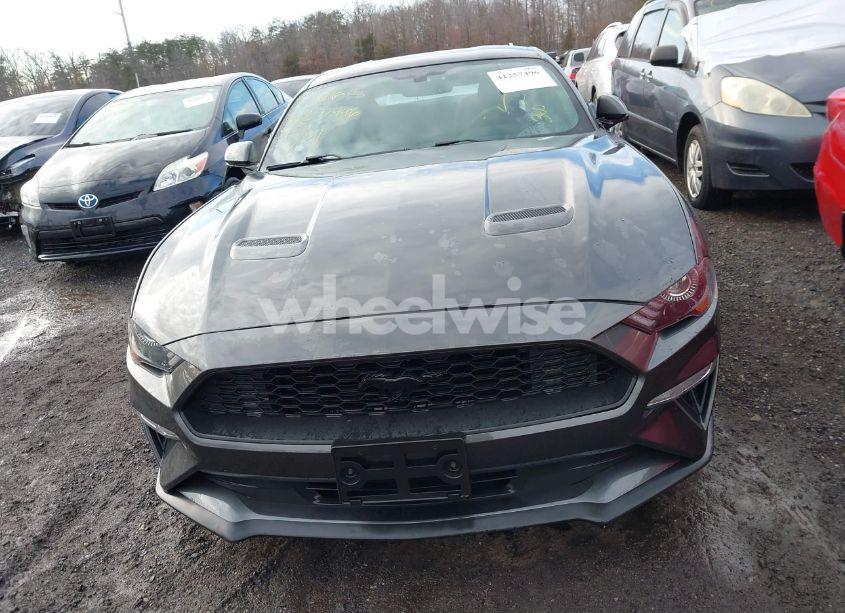 Photo 12 of 2019 Ford Mustang ECOBOOST (VIN 1FA6P8TH7K5117365)
