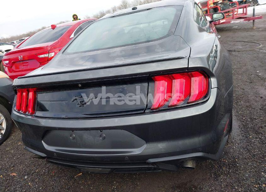 Photo 16 of 2019 Ford Mustang ECOBOOST (VIN 1FA6P8TH7K5117365)