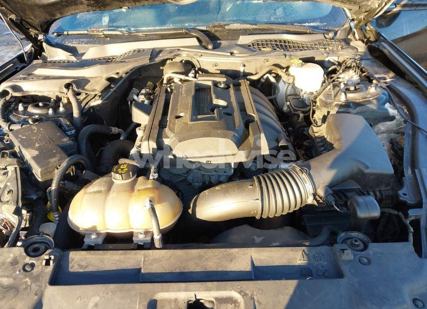 Photo 10 of 2019 Ford Mustang ECOBOOST (VIN 1FA6P8TH7K5133596)