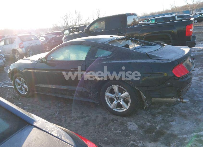 Photo 14 of 2019 Ford Mustang ECOBOOST (VIN 1FA6P8TH7K5133596)