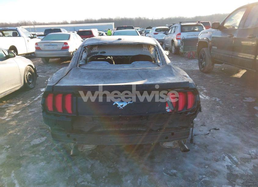 Photo 16 of 2019 Ford Mustang ECOBOOST (VIN 1FA6P8TH7K5133596)