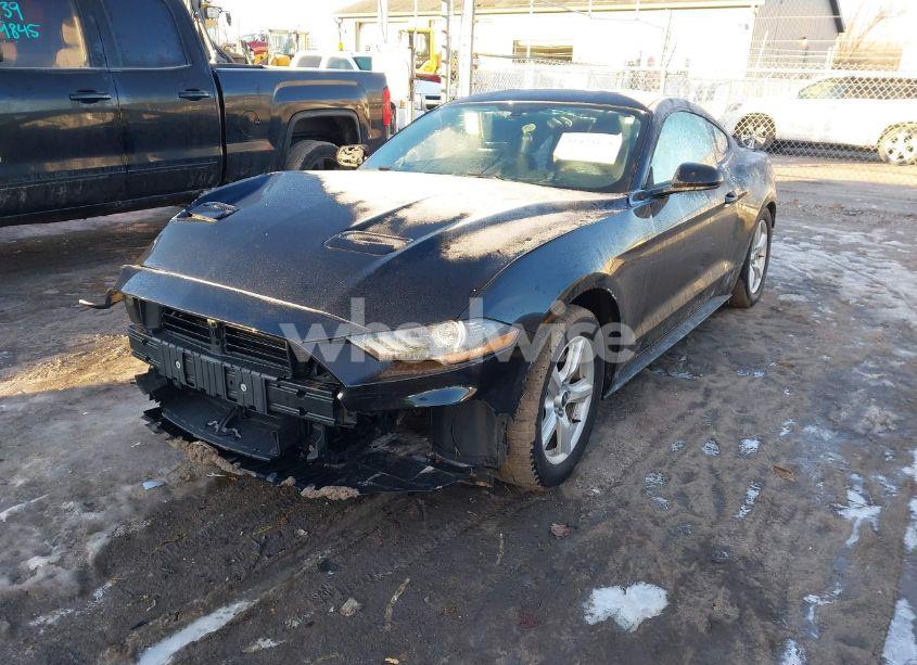 Photo 2 of 2019 Ford Mustang ECOBOOST (VIN 1FA6P8TH7K5133596)