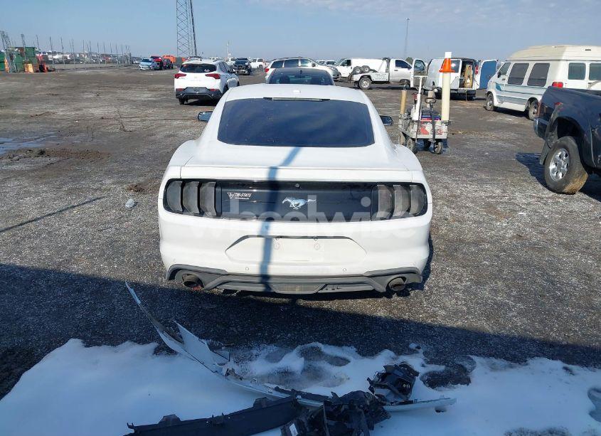 Photo 17 of 2020 Ford Mustang ECOBOOST PREMIUM FASTBACK (VIN 1FA6P8TH7L5118839)