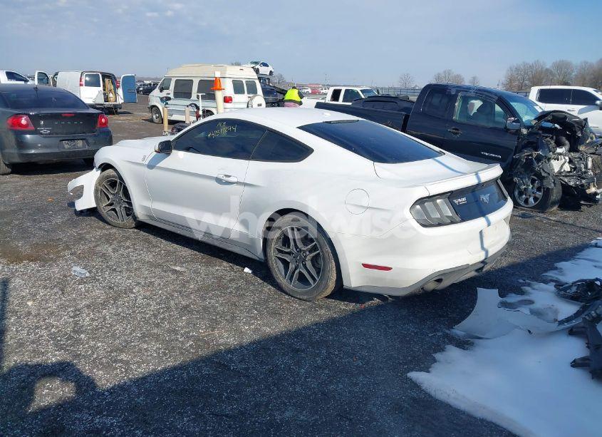 Photo 3 of 2020 Ford Mustang ECOBOOST PREMIUM FASTBACK (VIN 1FA6P8TH7L5118839)