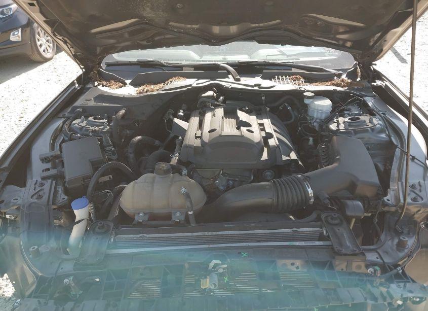 Photo 10 of 2020 Ford Mustang ECOBOOST PREMIUM (VIN 1FA6P8TH7L5120123)
