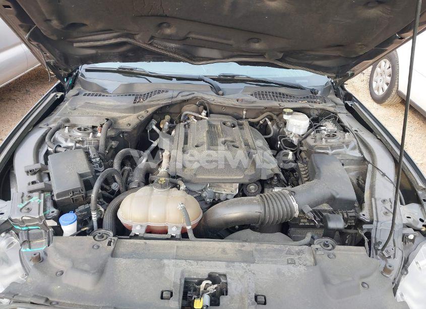 Photo 10 of 2020 Ford Mustang ECOBOOST FASTBACK (VIN 1FA6P8TH7L5121580)