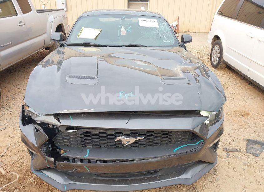 Photo 12 of 2020 Ford Mustang ECOBOOST FASTBACK (VIN 1FA6P8TH7L5121580)