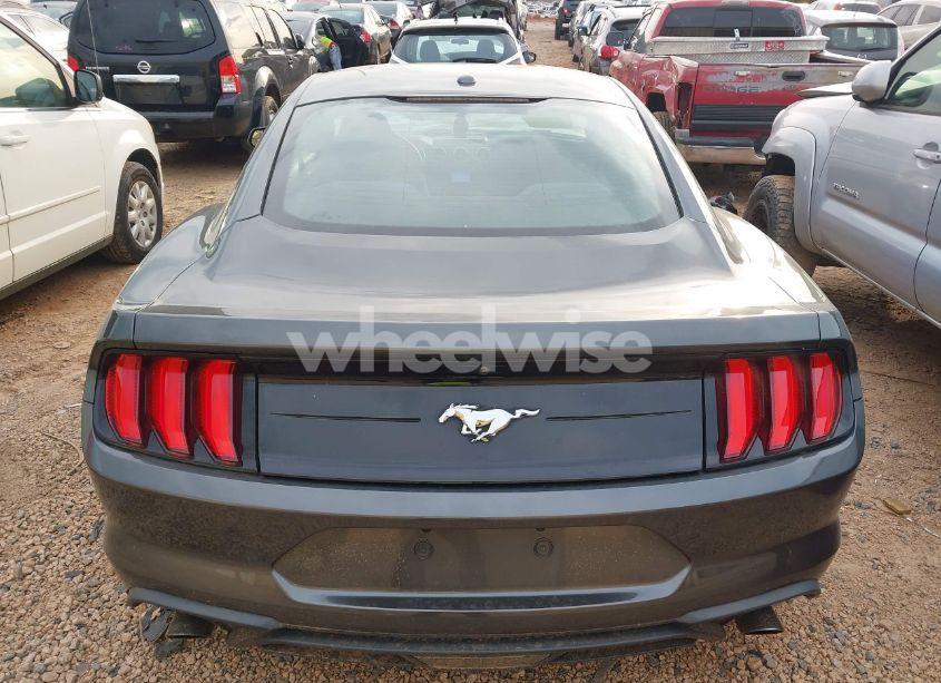 Photo 16 of 2020 Ford Mustang ECOBOOST FASTBACK (VIN 1FA6P8TH7L5121580)