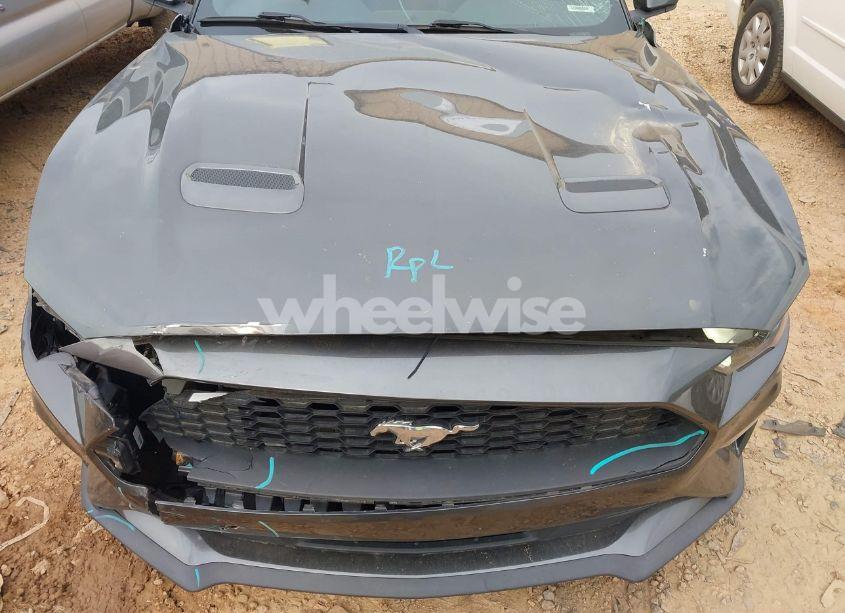 Photo 6 of 2020 Ford Mustang ECOBOOST FASTBACK (VIN 1FA6P8TH7L5121580)