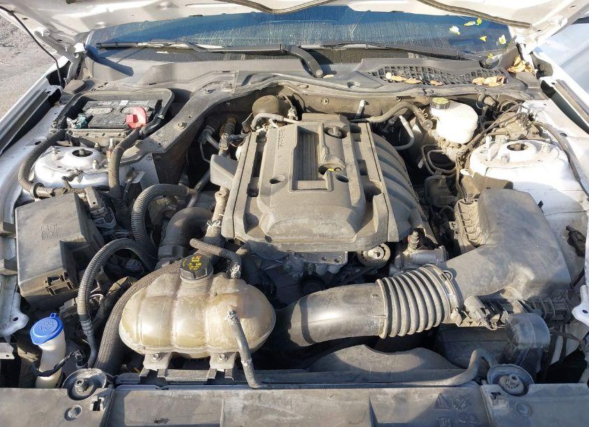 Photo 10 of 2020 Ford Mustang ECOBOOST PREMIUM FASTBACK (VIN 1FA6P8TH7L5134863)