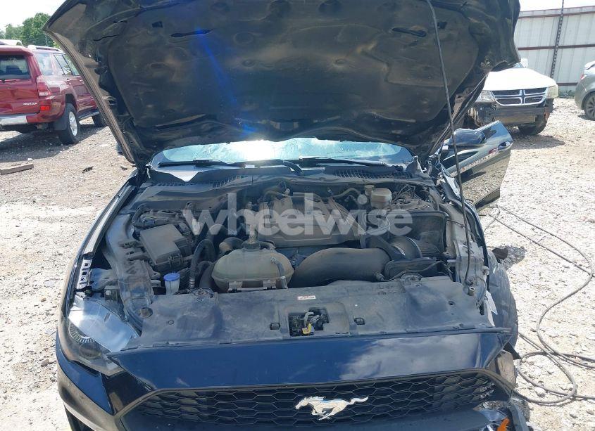 Photo 10 of 2020 Ford Mustang ECOBOOST FASTBACK (VIN 1FA6P8TH7L5158077)