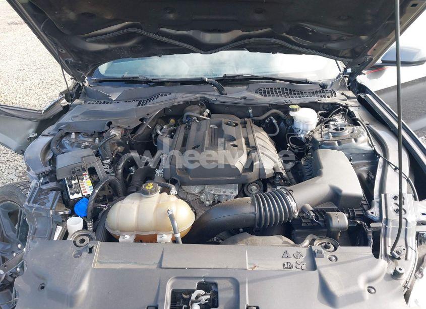 Photo 10 of 2020 Ford Mustang ECOBOOST FASTBACK (VIN 1FA6P8TH7L5159973)