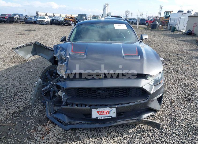 Photo 13 of 2020 Ford Mustang ECOBOOST FASTBACK (VIN 1FA6P8TH7L5159973)