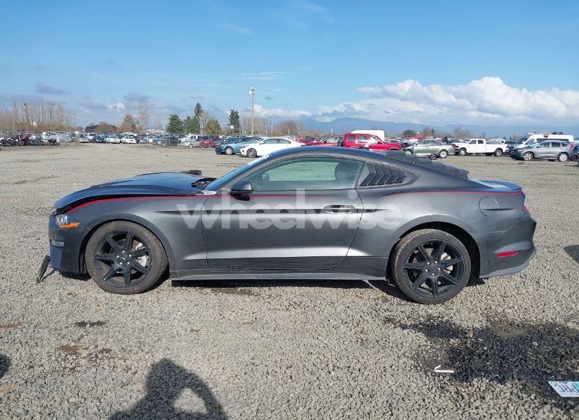 Photo 15 of 2020 Ford Mustang ECOBOOST FASTBACK (VIN 1FA6P8TH7L5159973)