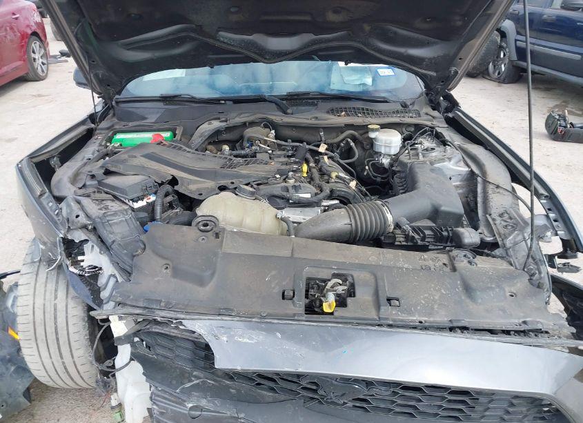 Photo 10 of 2021 Ford Mustang ECOBOOST PREMIUM (VIN 1FA6P8TH7M5111665)