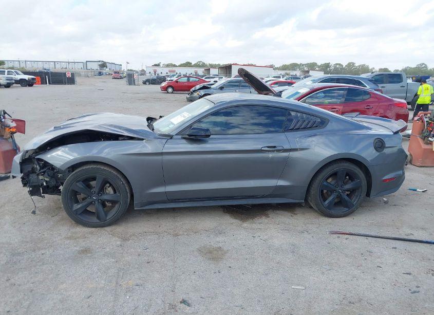 Photo 14 of 2021 Ford Mustang ECOBOOST PREMIUM (VIN 1FA6P8TH7M5111665)