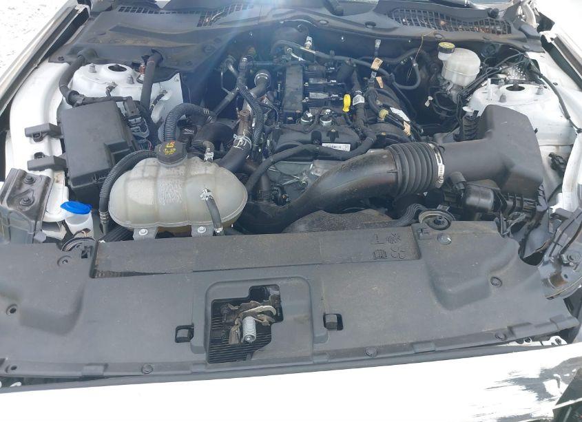 Photo 10 of 2022 Ford Mustang ECOBOOST FASTBACK (VIN 1FA6P8TH7N5149057)