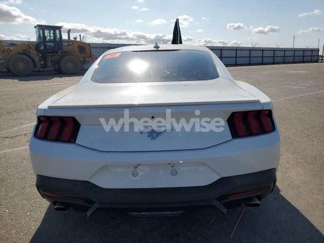Photo 8 of 2024 FORD MUSTANG (VIN 1FA6P8TH7R5129364)