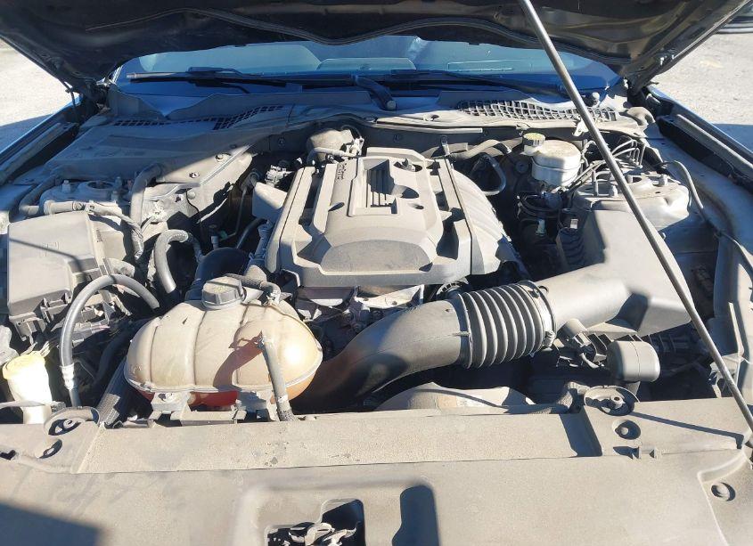 Photo 10 of 2015 Ford Mustang ECOBOOST (VIN 1FA6P8TH8F5404039)