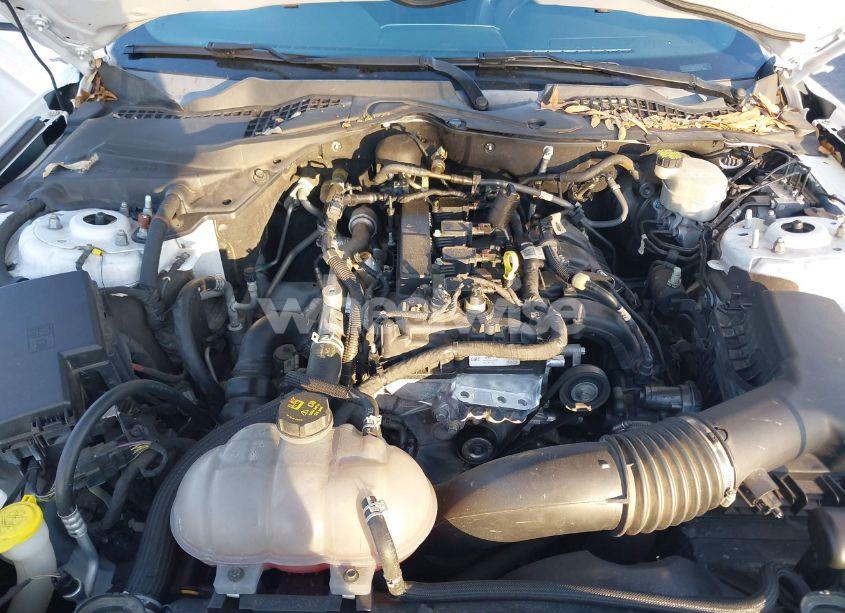 Photo 10 of 2016 Ford Mustang ECOBOOST (VIN 1FA6P8TH8G5228711)