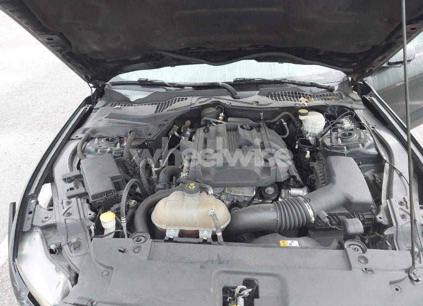 Photo 10 of 2017 Ford Mustang ECOBOOST (VIN 1FA6P8TH8H5250242)