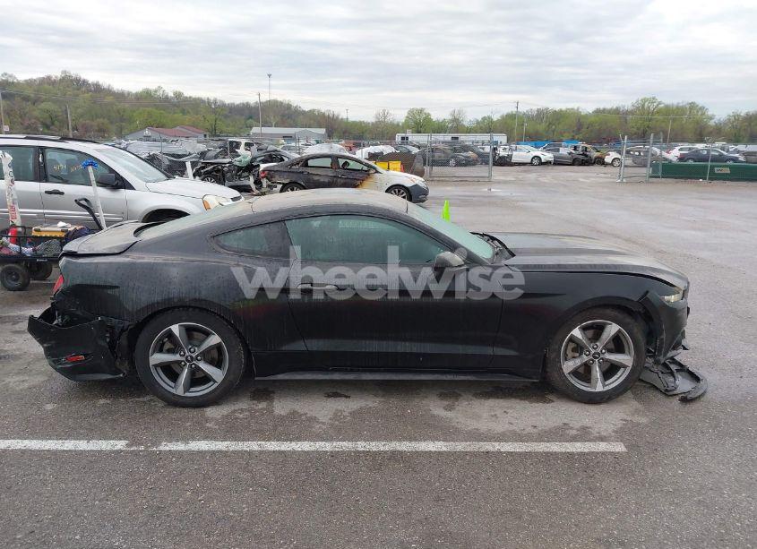 Photo 13 of 2017 Ford Mustang ECOBOOST (VIN 1FA6P8TH8H5250242)