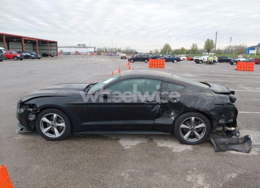 Photo 14 of 2017 Ford Mustang ECOBOOST (VIN 1FA6P8TH8H5250242)