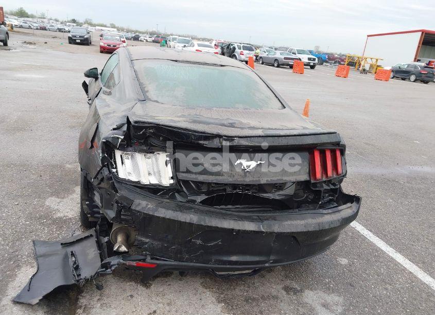 Photo 16 of 2017 Ford Mustang ECOBOOST (VIN 1FA6P8TH8H5250242)