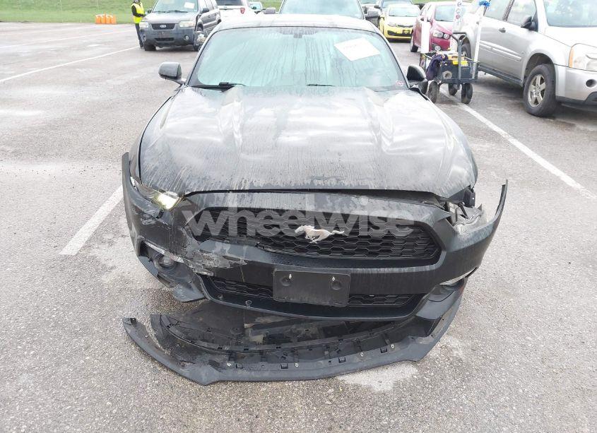 Photo 17 of 2017 Ford Mustang ECOBOOST (VIN 1FA6P8TH8H5250242)