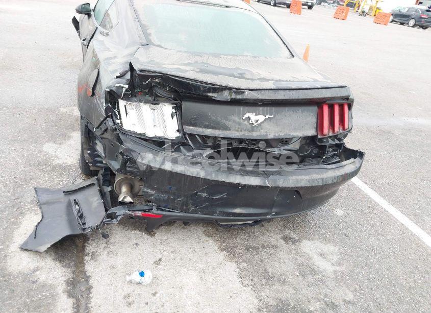 Photo 6 of 2017 Ford Mustang ECOBOOST (VIN 1FA6P8TH8H5250242)