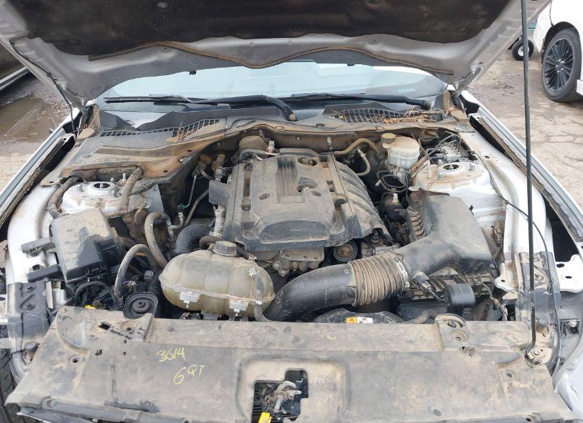 Photo 10 of 2017 Ford Mustang ECOBOOST (VIN 1FA6P8TH8H5306549)