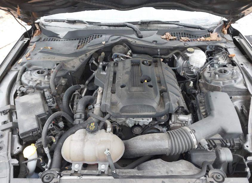 Photo 10 of 2019 Ford Mustang ECOBOOST (VIN 1FA6P8TH8K5103541)